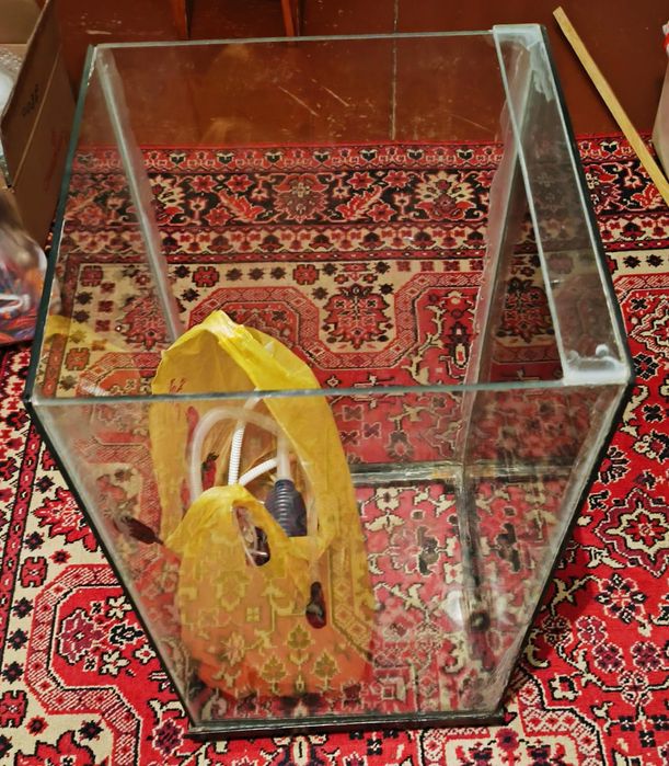 Продается аквариум