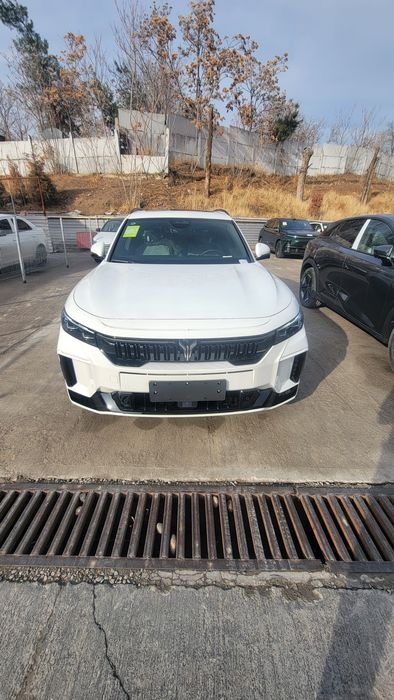 Voyah free apollo tich 318