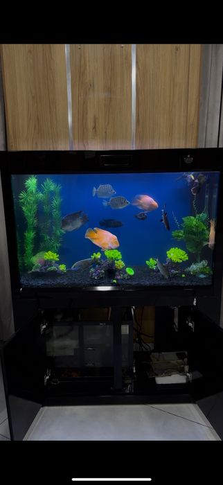 Akvarium tozalash xizmati, Аквариум тозалаш