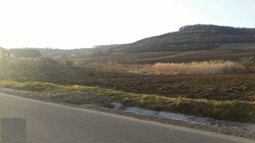 Terem 1400mp Bardesti, pozitie foarte buna, la asfalt cu CF urbanism