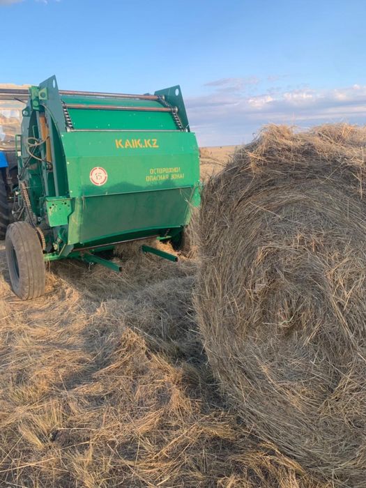 Сено 300 рулонов, хорошее качество