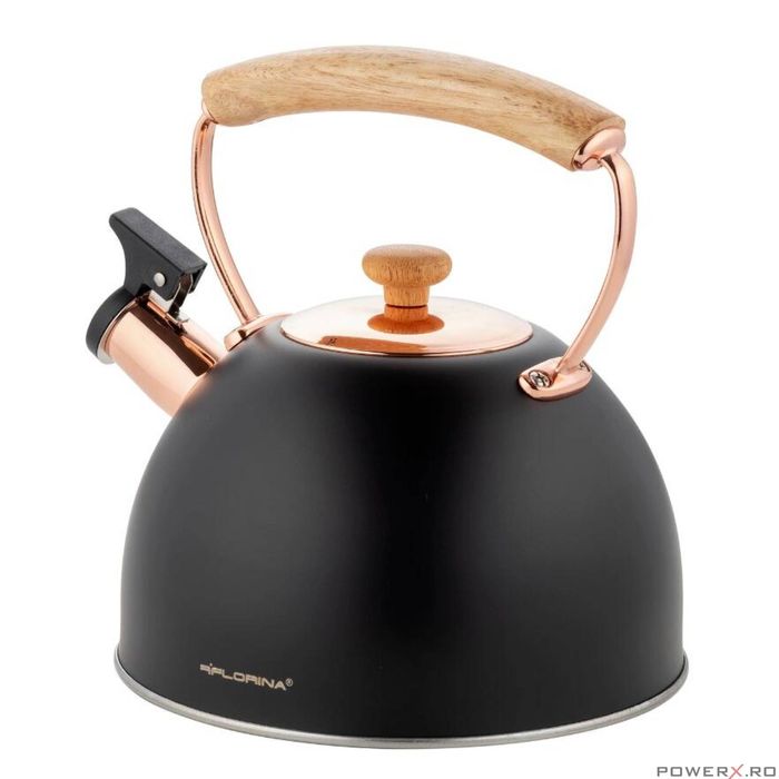 Ceainic din inox cu fluier, fierbator traditional, capacitate 2.5