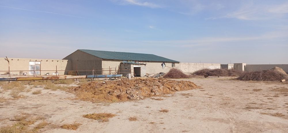 50 sotix yer va tayyor molxona — 140 000$