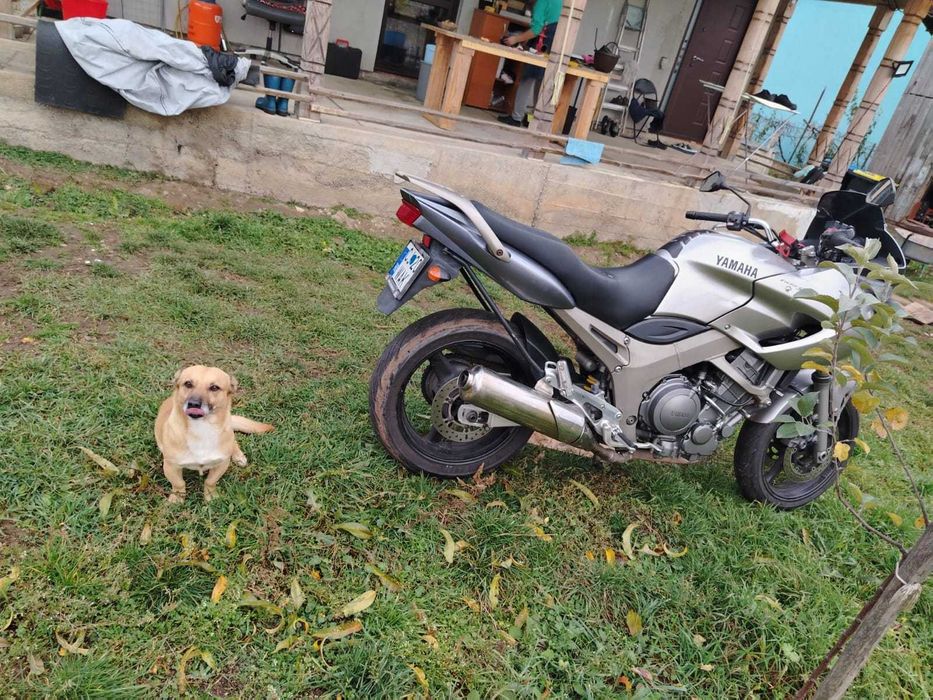 Yamaha TDM 900 din 2002