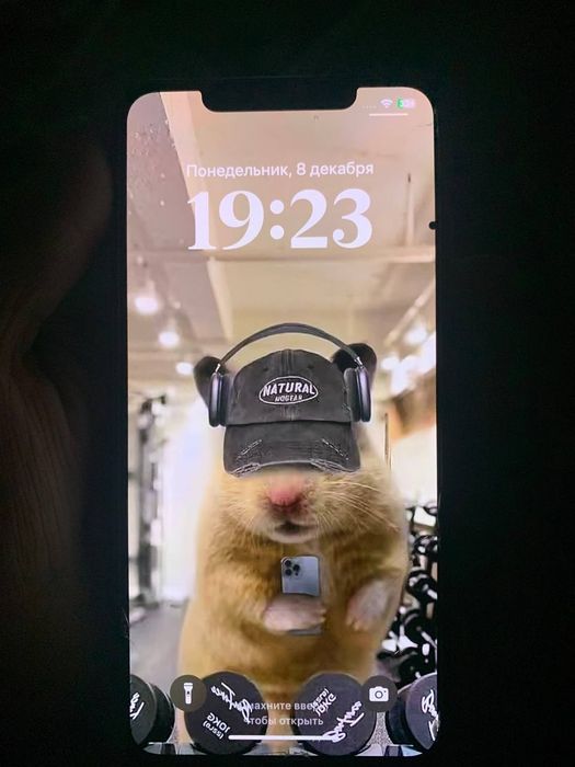 Iphone xs max sotilad