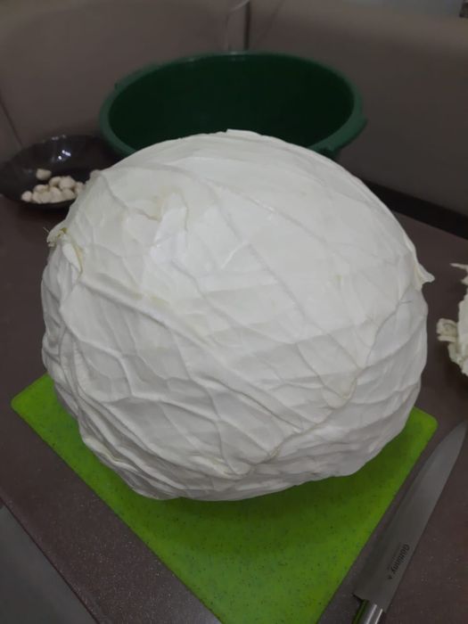 Продам домашнюю капусту