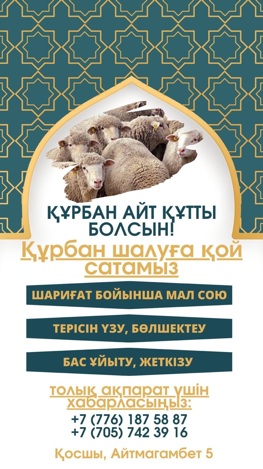 Кой сатамыз. Продаём баранов