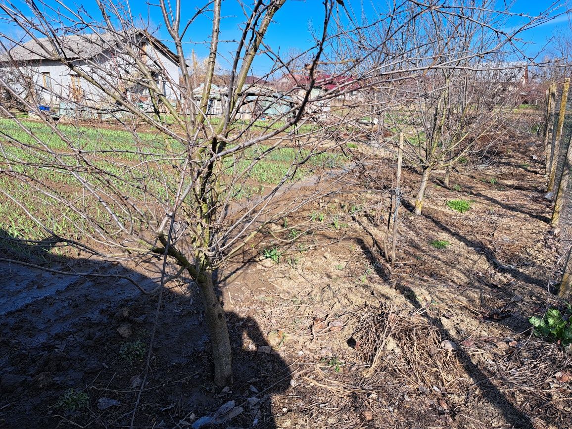 Vând urgent casă din BCA, Com.Hotarele, Sat Scărișoara, Jud. Giurgiu