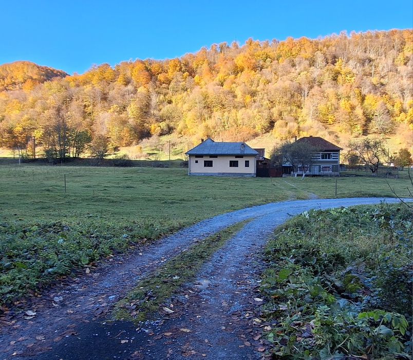 Casă de vânzare Remeți