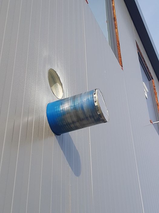 Gaura hota, gaura carota. Timișoara, Lugoj.