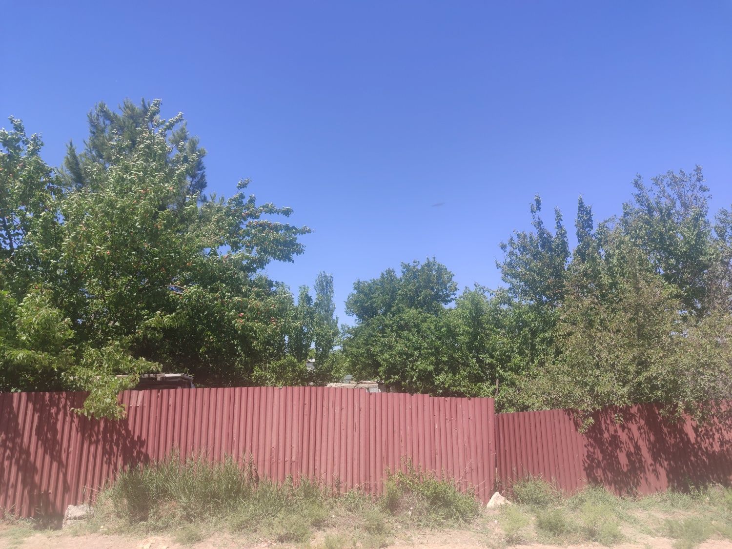 Сдается дача в аренду