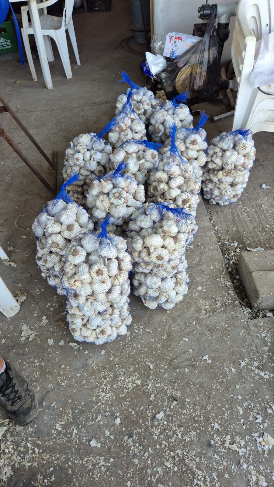 Сух бял чесън за продан