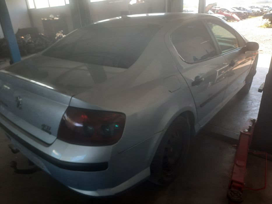 Vand usi, stopuri,haion Peugeot 407