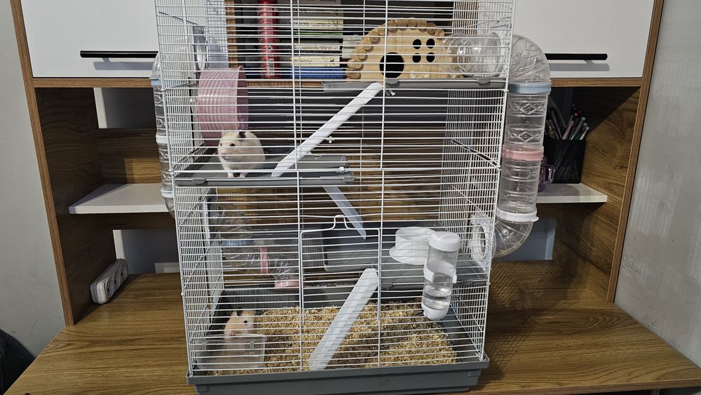 Продаётся клетка 4 этажная хомяки в подарок
