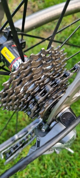 Cursiera FERRUS titan