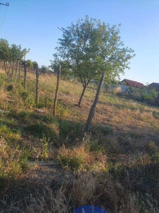 Vand teren / parcele comuna bucovat