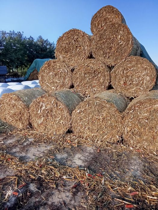 Vand balot tulei 120/120