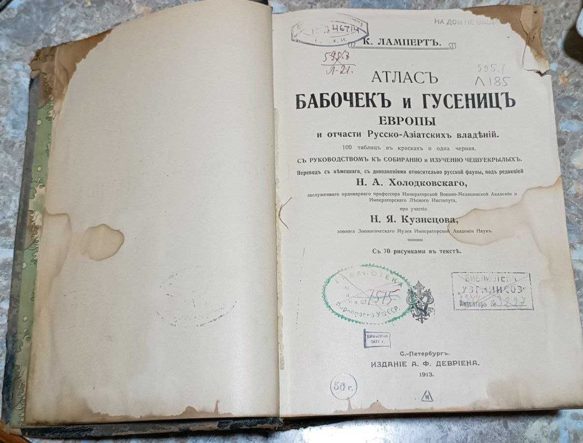 Книга "Атлас бабочек и гусениц " 1913 год