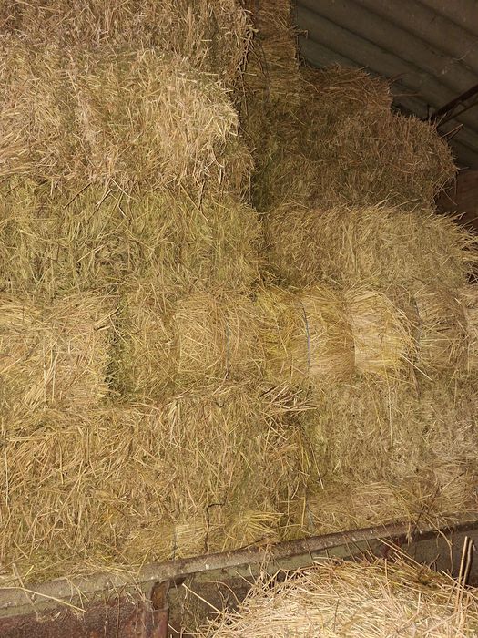 Vind baloti de lucernă .