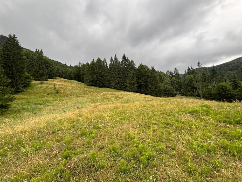 Teren extravilan în loc. Siriu