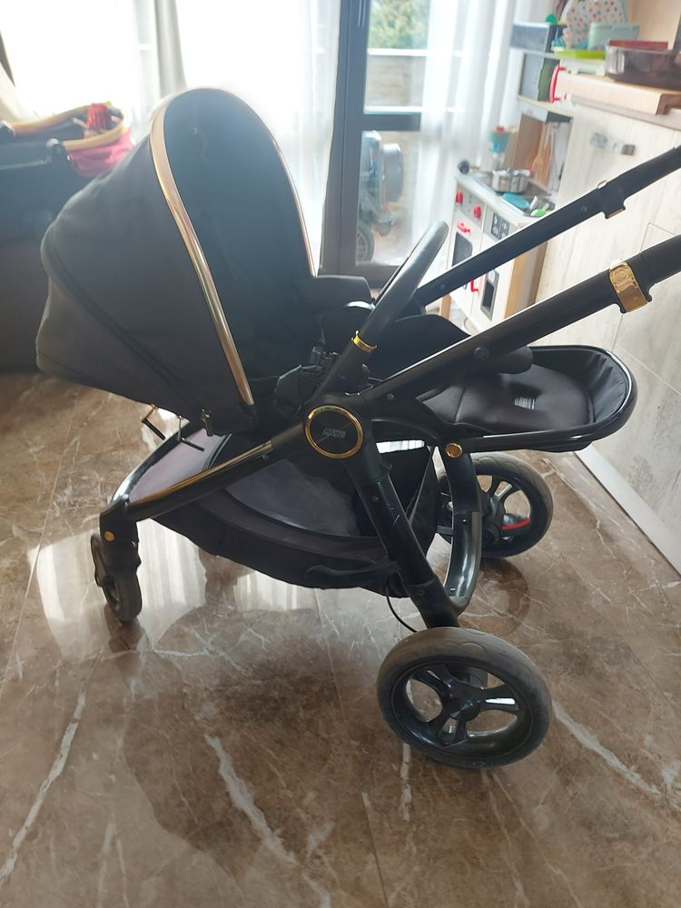 Mamas and papas ocarro