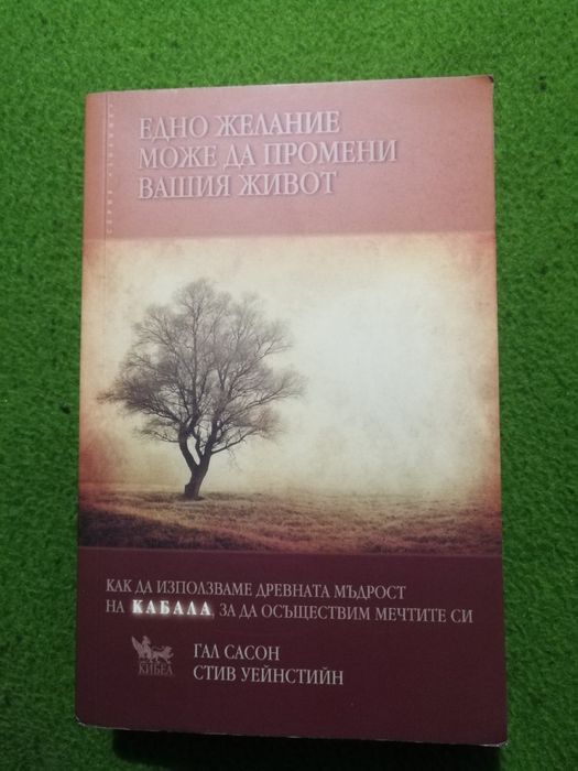 Едно желание може да промени вашия живот - Гал Сасон, Стив Уейнстийн