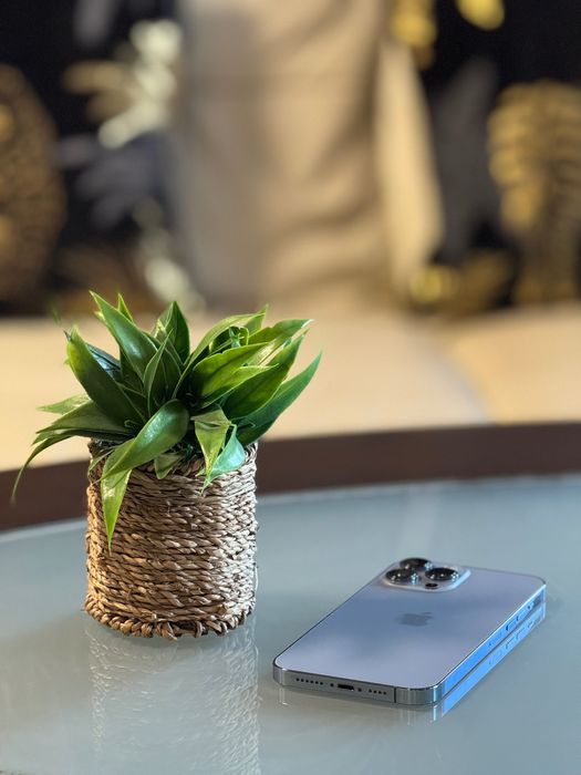 iPhone 13 Pro Max - Sierra Blue