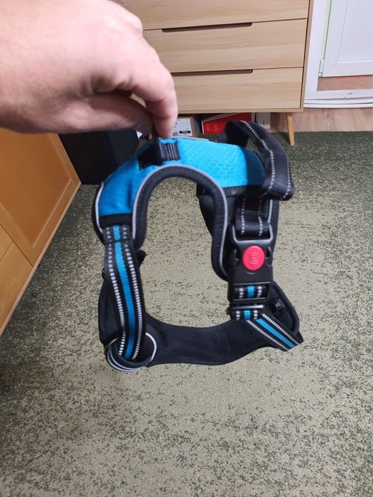 ham caine de talie mare