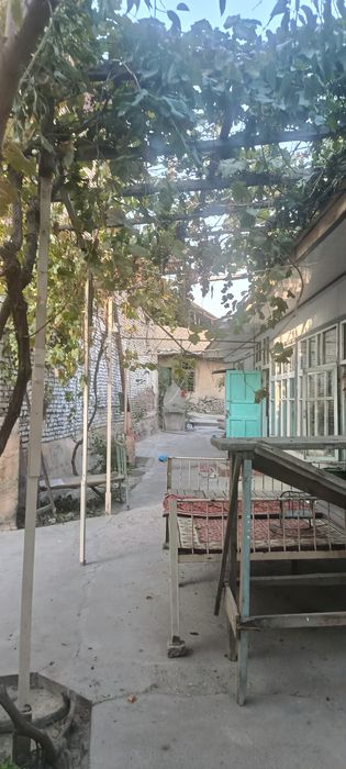 Shaharni jgaridan Afsonani orqasidagi koʻchadagi hovlimz