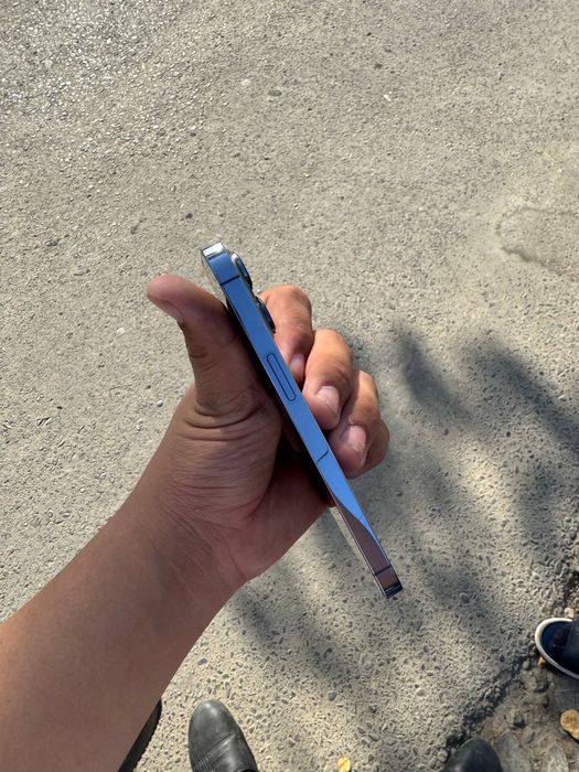 Iphone 13 pro Delphn rang