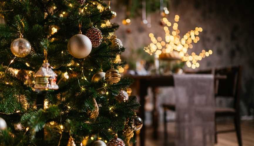 Новогодние ёлки. Yangi yil archa.