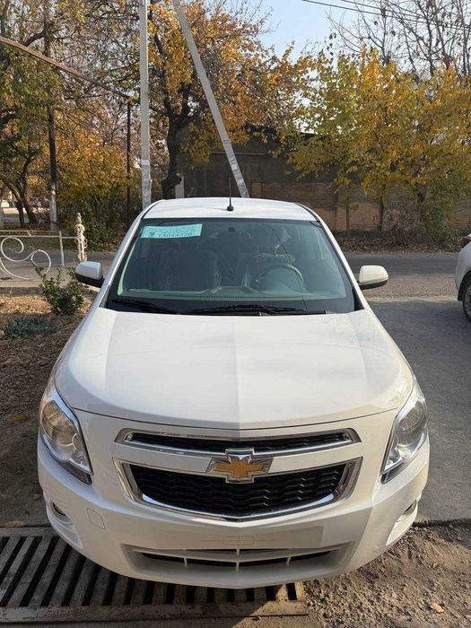 Oq yangi COBALT MCM-2026