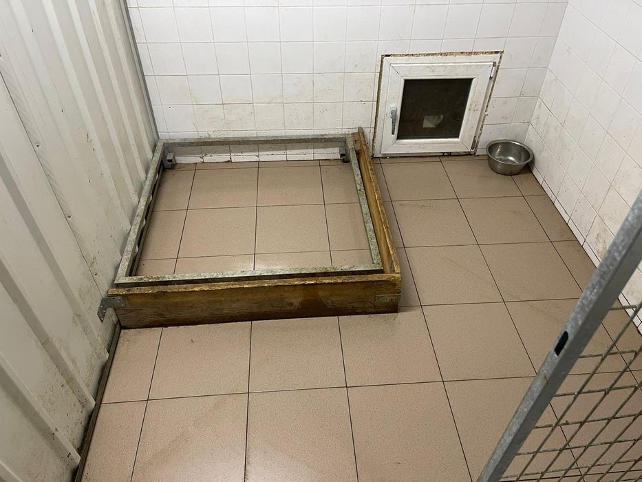 Pensiune canina Brasov