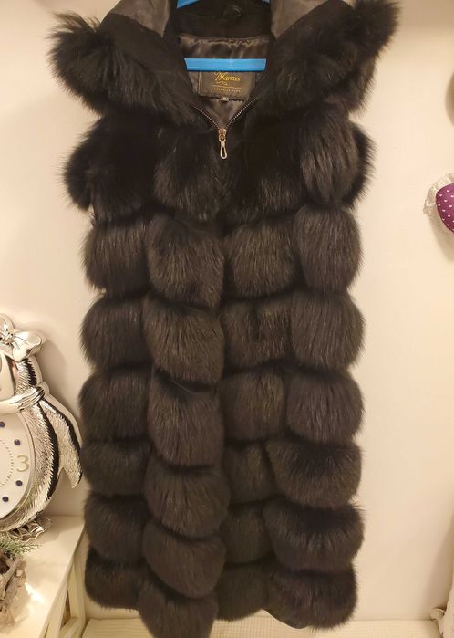 Vesta blana vulpe polara