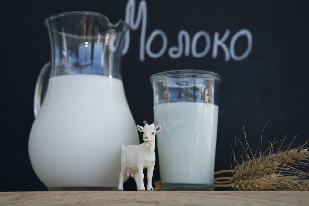 Козье молоко в центре Талгара