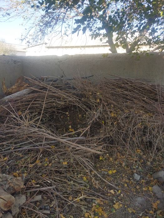 Apilka va o'tinlar sotiladi