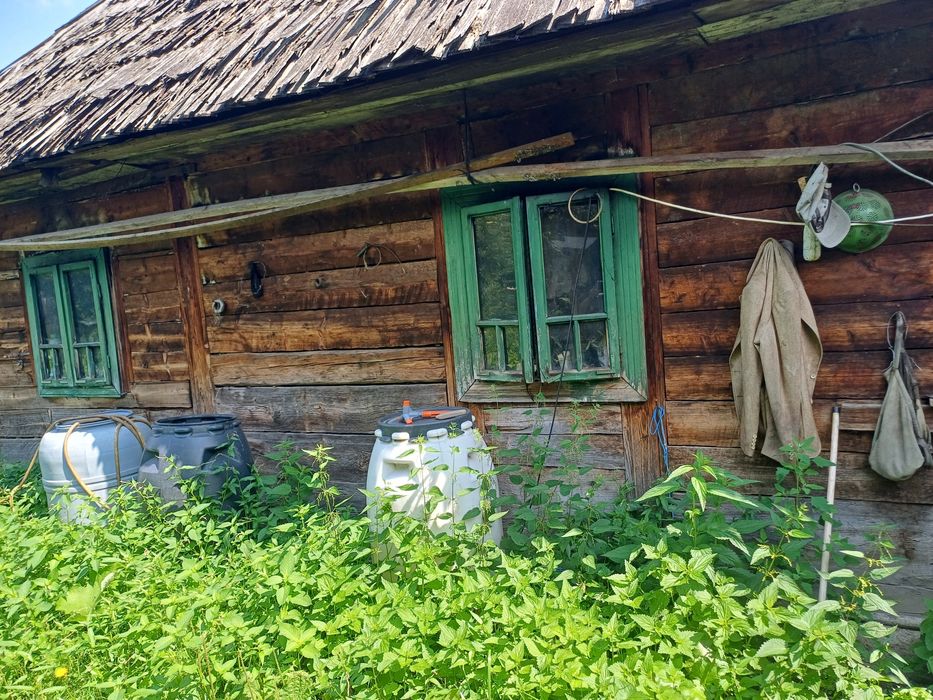 Vând grajd și bucătărie