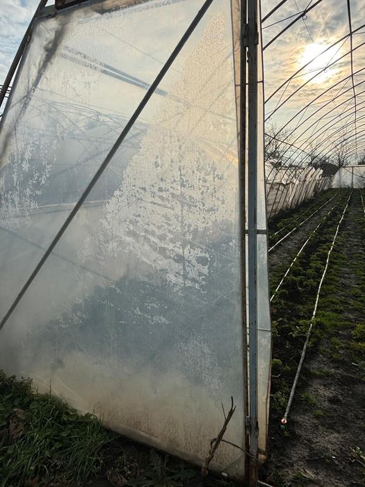 Solar 600 mp cadru metalic dublu