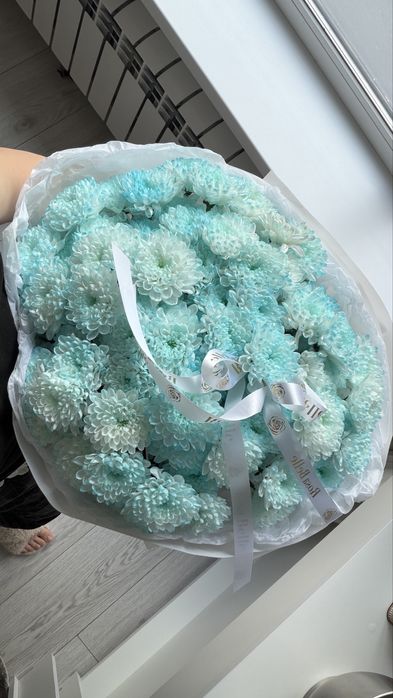 Продам цветы свежие хризантемы красивые