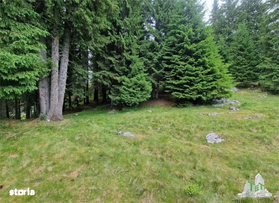 Teren intravilan pe Meses