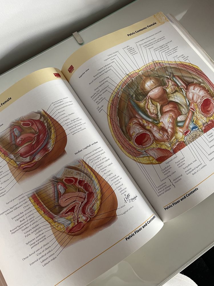 Netter atlas de anatomie- ediția a 5-a, in limba engleză