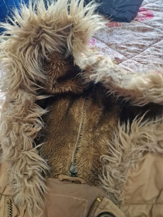 Зимни якета Зара и CASSIDI