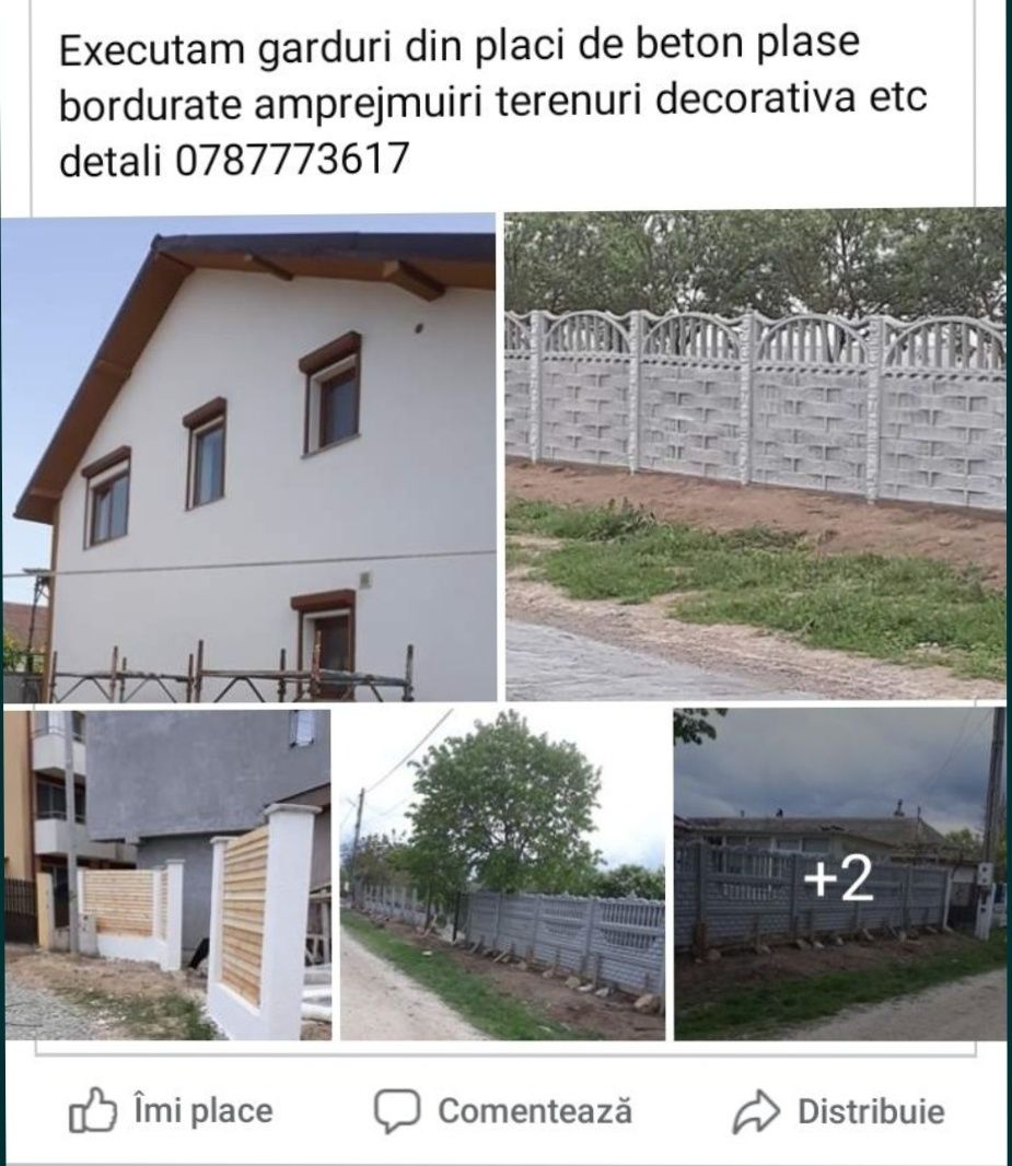 Meseriasi  Executam garduri, tencuiala decorativa