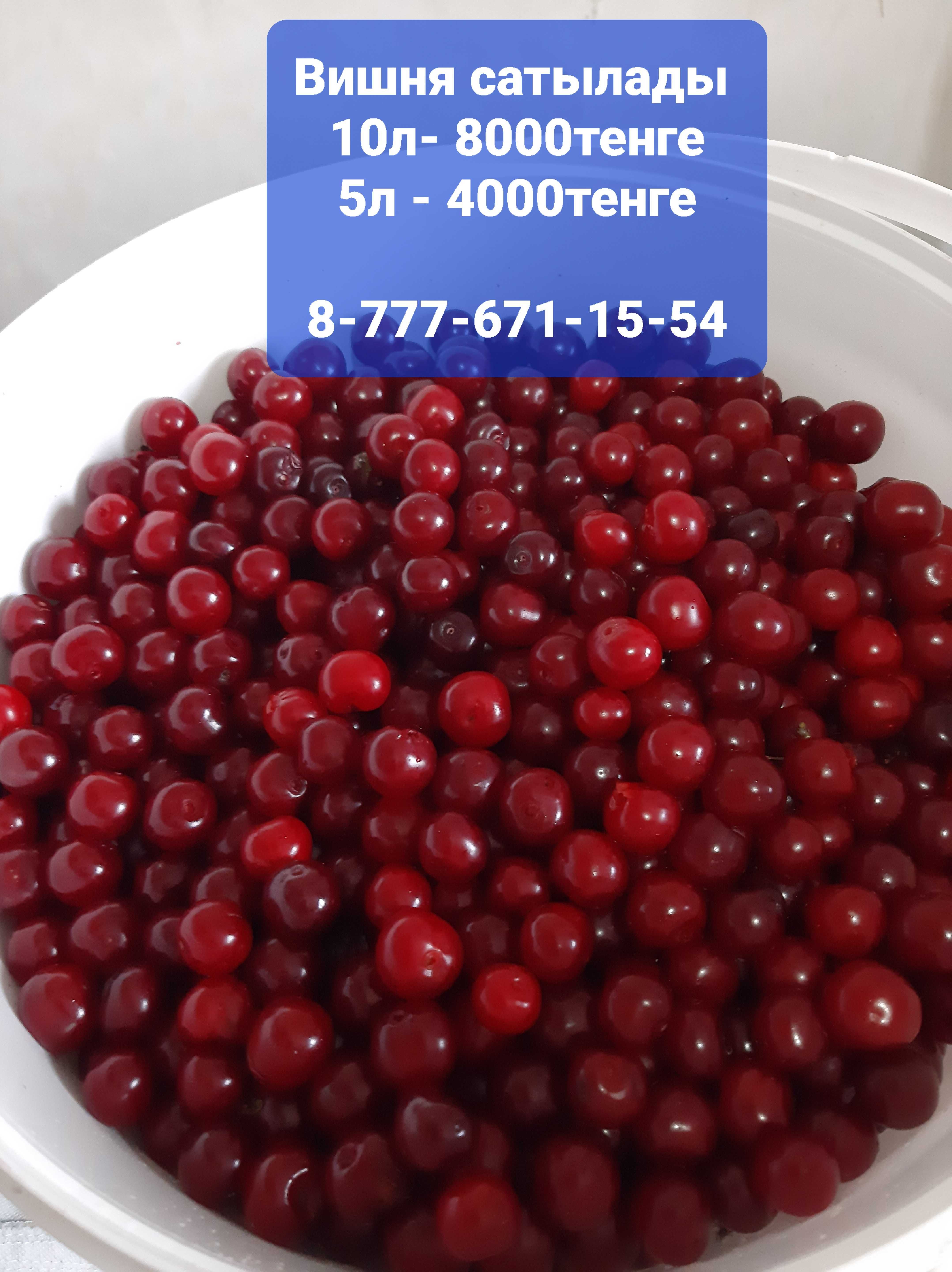 Продам вишню 10литр 8000тенге