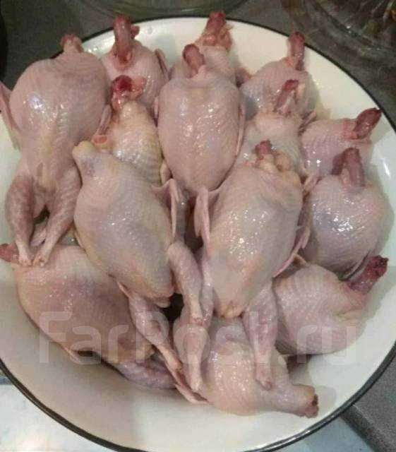 Перепелиное мясо