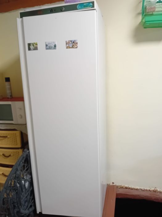 Congelator vertical FORCAR