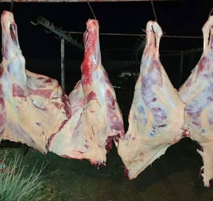 Мясо говядины на согым