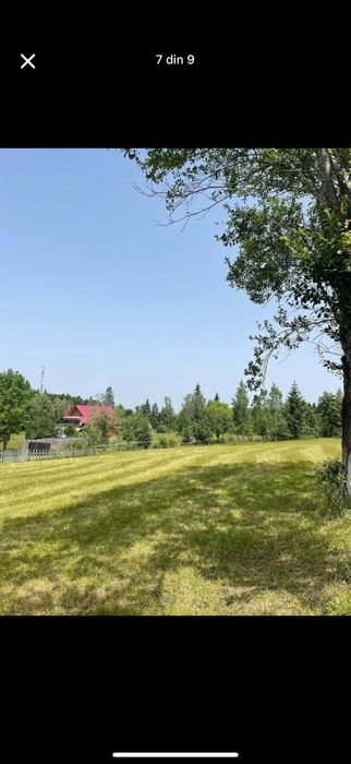 Vând teren in zona Călatele Pădure