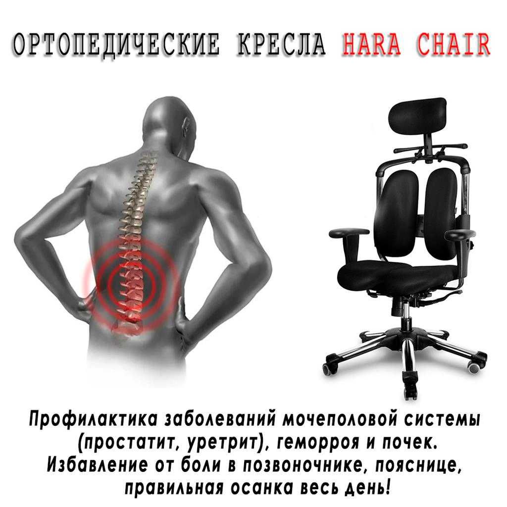 Офисное кресло Hara Chair NIETZSCHE UD Ортопедическое (Ю.Корея)