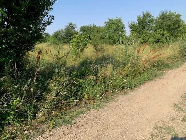 Teren 1000 mp  intravilan Tancabesti Snagov